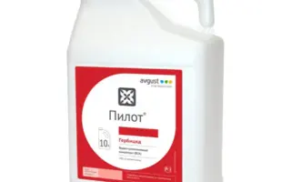 Пілот, КС, гербіцид