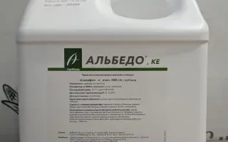 Альбедо (Albedo)