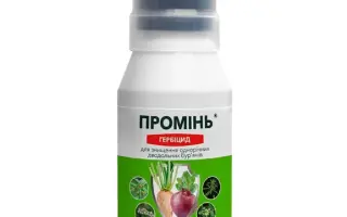 Промінь, КЕ, гербіцид
