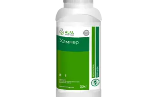 Хаммер, ВГ, гербіцид