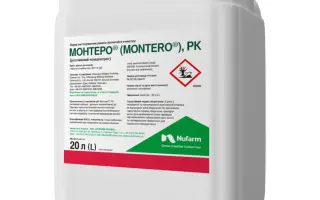 Монтуріон (Monturion)