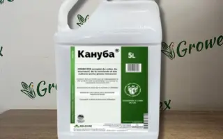 Кануба, СЕ, гербіцид