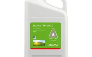 Голтікс Титан