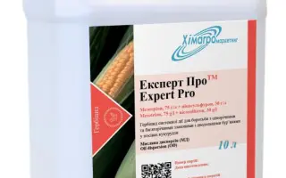 Експерт Про, МД / Expert Pro, OD