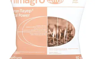 Тотал Пауер, РГ / Total Power, SG