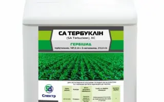 СА Тербуклін (SA Terbuclean)