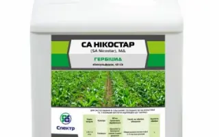 СА Нікостар (SA Nicostar)