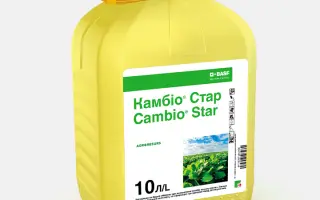 Камбіо Стар, РК, гербіцид