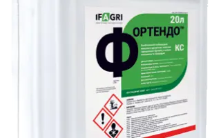 ФОРТЕНДО, КС