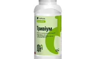 Тривіум, ВГ, гербіцид + ПАР Бустер