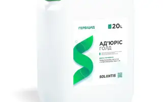 Ад’юріс Голд