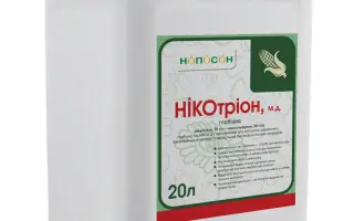 Нікотріон, КС, гербіцид