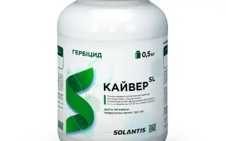 Кайвер, ВГ, гербіцид