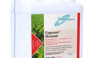 Горизонт, КЕ / Horizont, EC