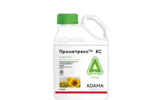 DIYA-Прометрин, КС, гербіцид