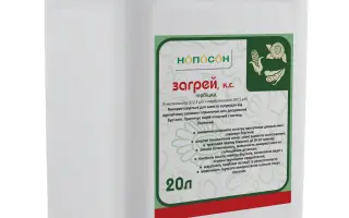 Загрей (Zagrey)