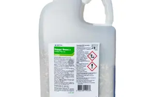 Кордус Флекс