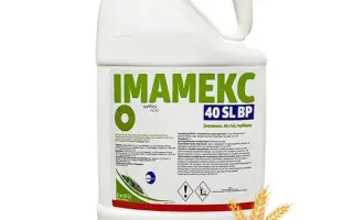 Имамекс 40 SL