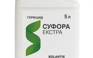 Суфора (Sufora)