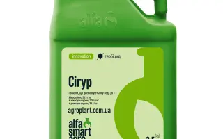 Сігур, ВГ, гербіцид