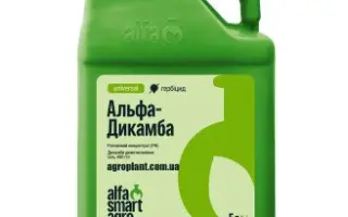 Алдака 480, РК (Aldaka 480, SL)