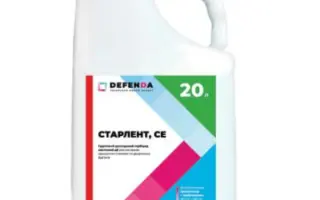 Старлент СЕ