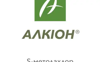 Алкіон (Alcyon)