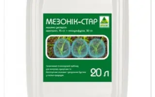 Мезонік-Стар