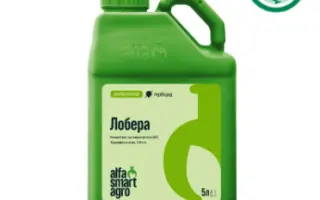 Лобера, КЕ, гербіцид