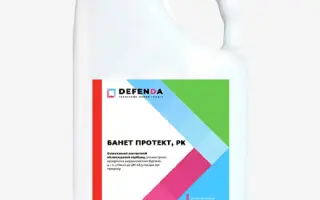 Банет Протект