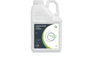 Платинум Стар