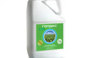 Голдікс, КС, гербіцид