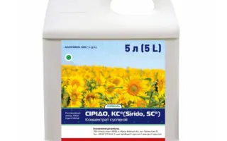 Сірідо, КС (Sirido SC)