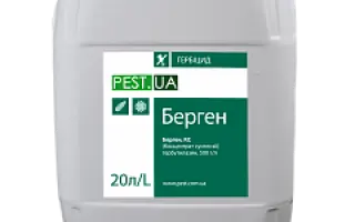 Берген, КС, гербіцид