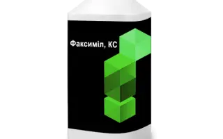 Факсиміл, КС