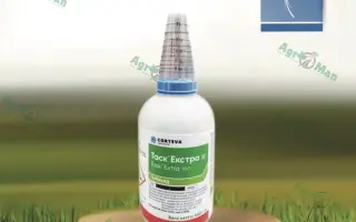 Таскус (Taskus)