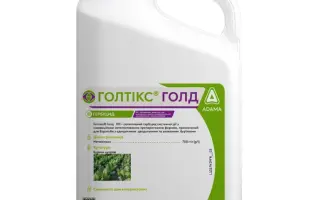 Голтікс Голд
