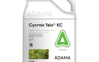 Султан Твін