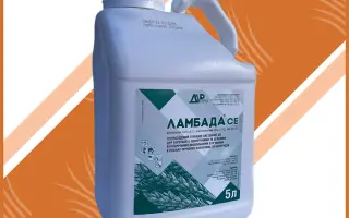 Ламбада, СЕ, гербицид