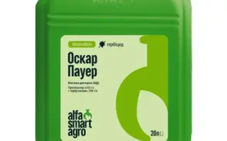 Оскар Пауер