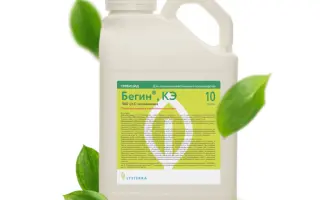 Турбін S , КС, гербіцид