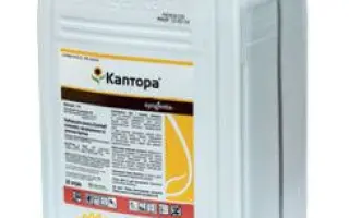 Каптора®, РК, гербіцид