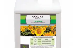 Оскі, КЕ (Oski EC)