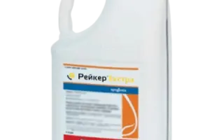 Рейкер Екстра, МД (Raker Extra OD)