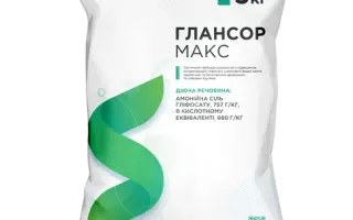 Глансор Макс