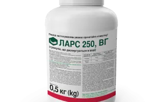 ЛАРС 250, ВГ, гербіцид