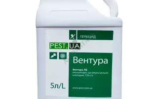 Вентура