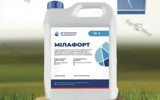 Флоразон Дуо, КС