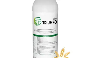 Тріумфо 114 OD