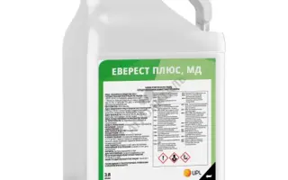 Еверест Плюс